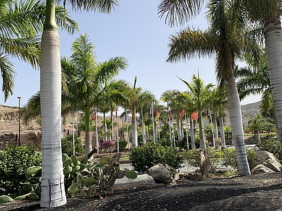 Anfi Tauro Golf Resort på Gran Canaria