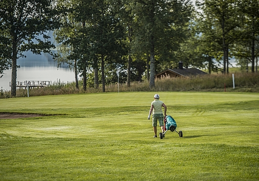 Dömle Herrgård Spa & Resort - ForshagaDeje GK