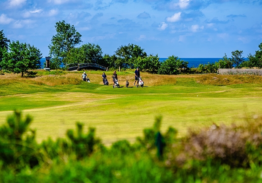 Halmstad Golfarena