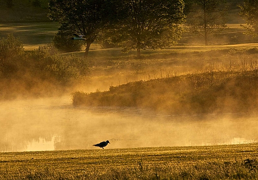 Bokskogens Golfklubb
