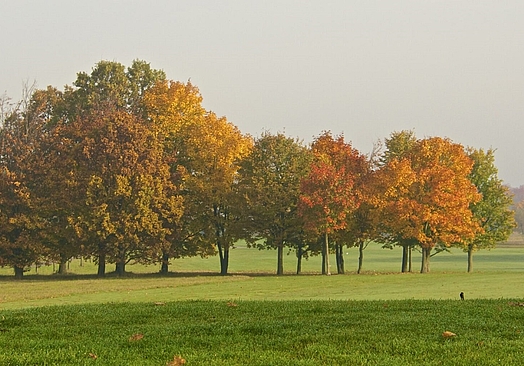 Bokskogens Golfklubb