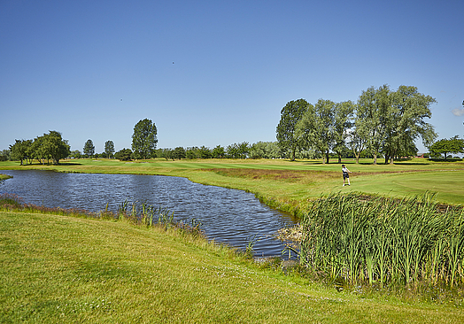 Bedinge Golfklubb