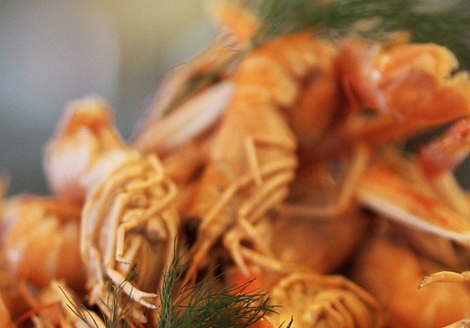 TanumStrand SPA & Resort