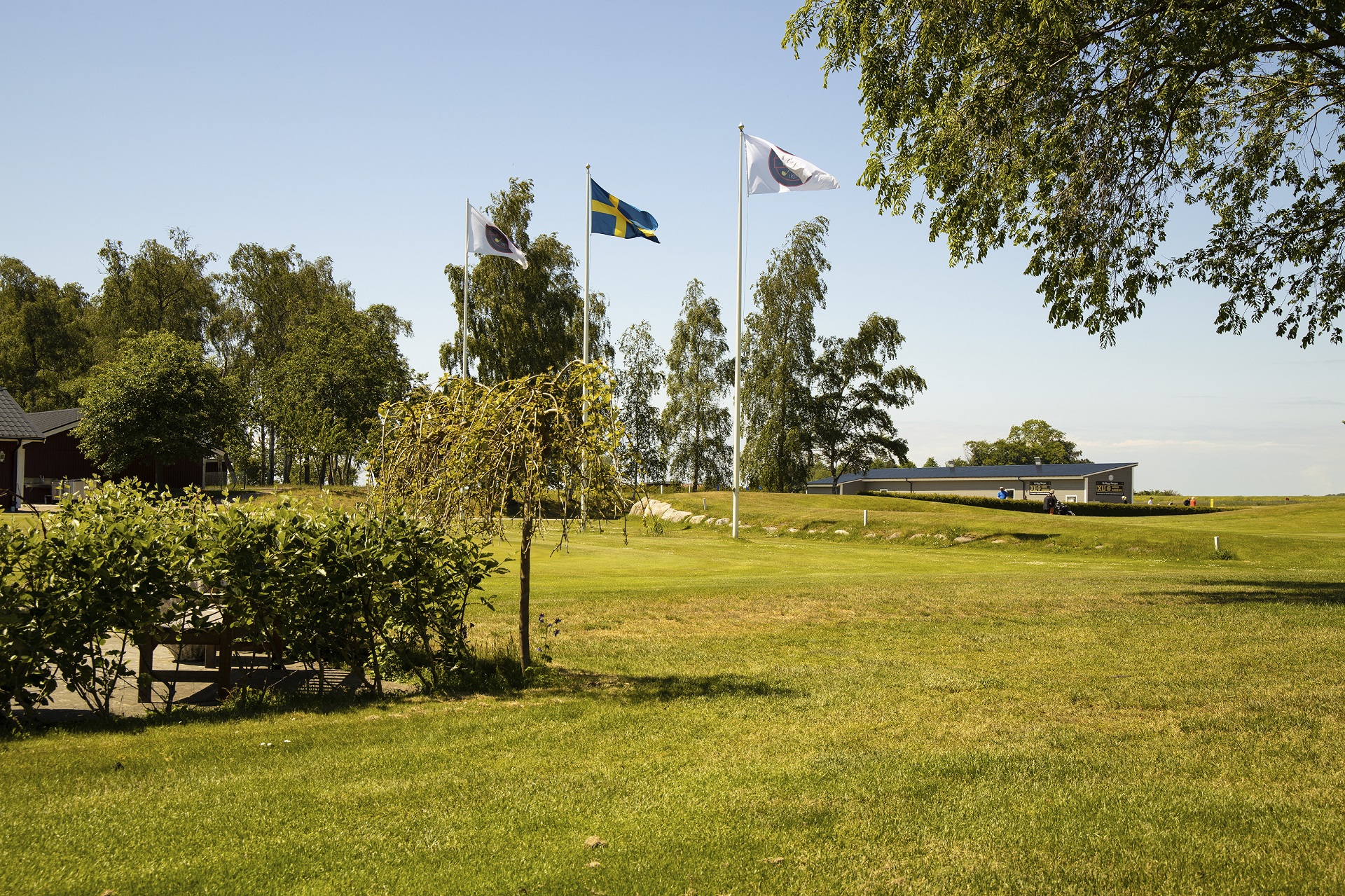 Bedinge Golfklubb | sydligste golfbane | NordicGolfers