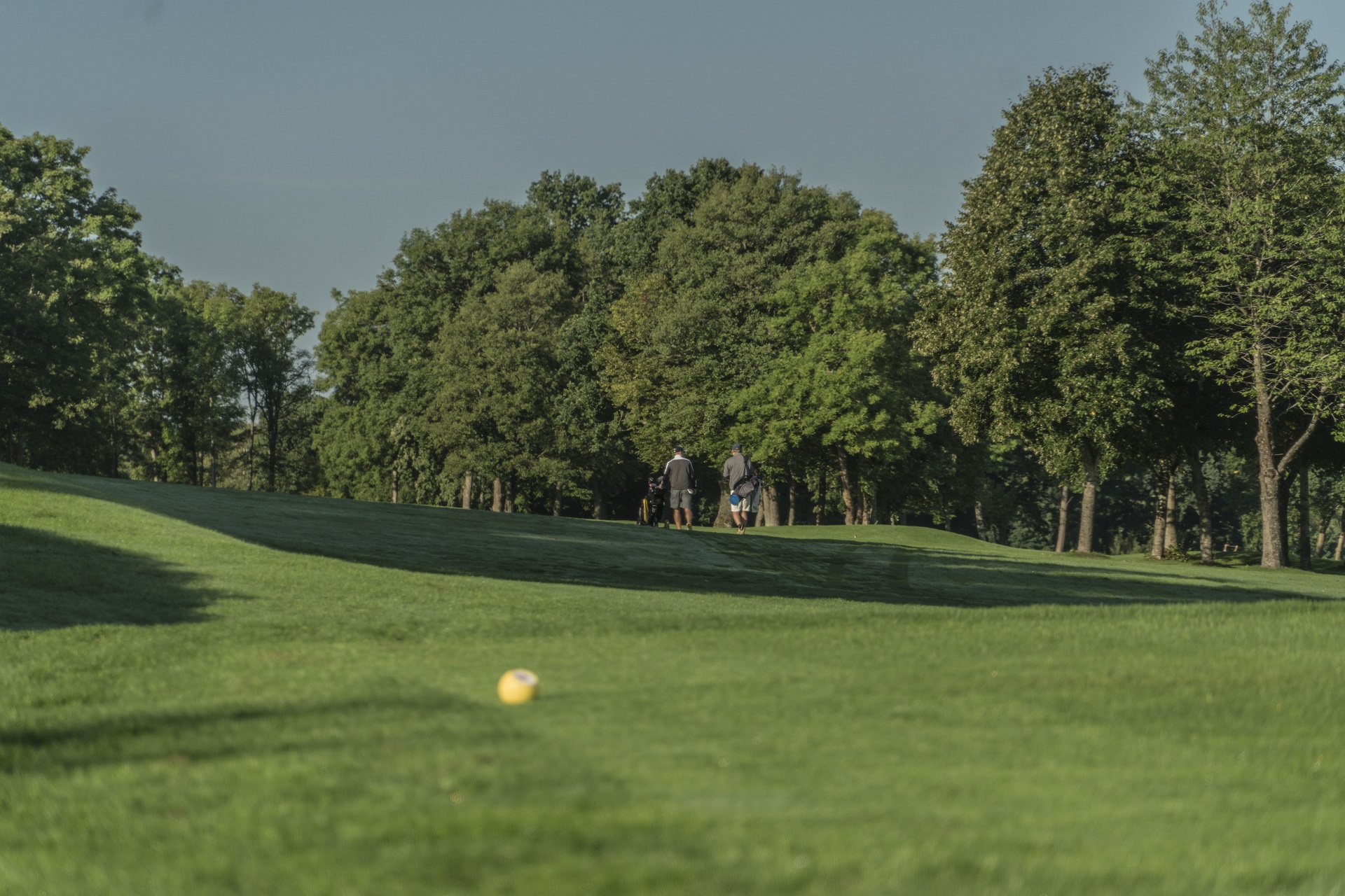 stenografi Afdeling kulstof Söderåsens Golfklubb