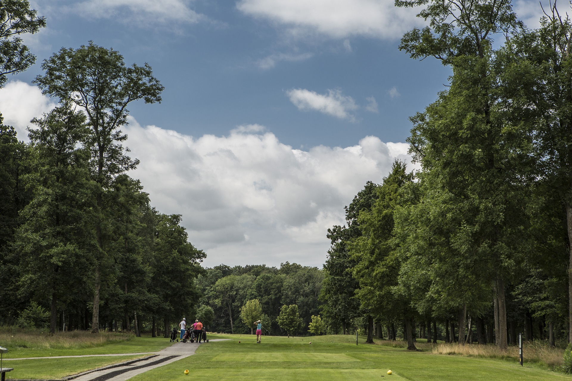 stenografi Afdeling kulstof Söderåsens Golfklubb